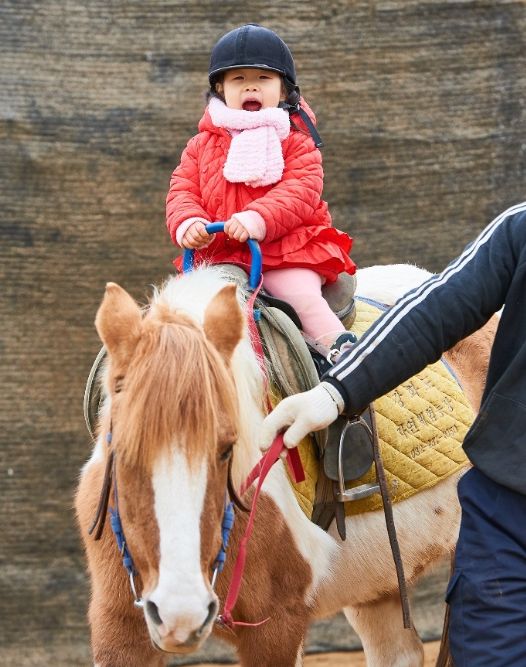 A child riding a pony led by a guide