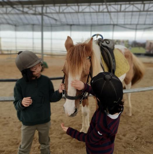 A child leading a white horse