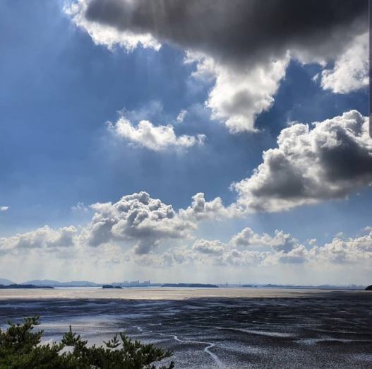 The tidal flat at low water