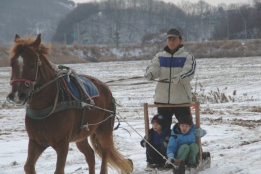 눈밭에서 말이 끄는 썰매를 탄 아이들